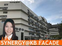 Synergy @ KB (D14), Factory #155413112